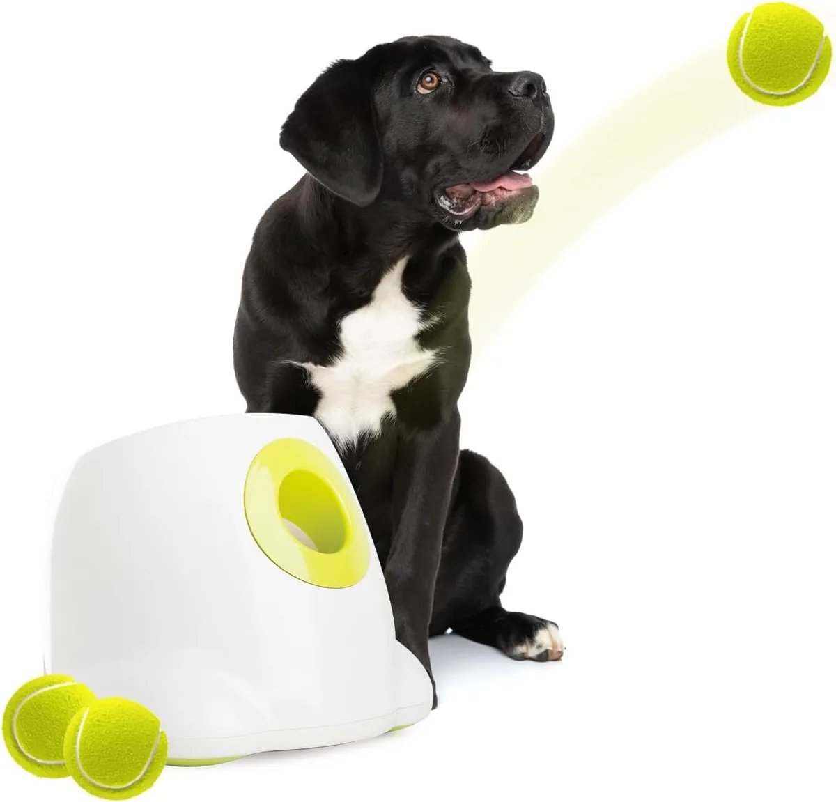 ALL FOR PAWS Lanzador automático de pelotas