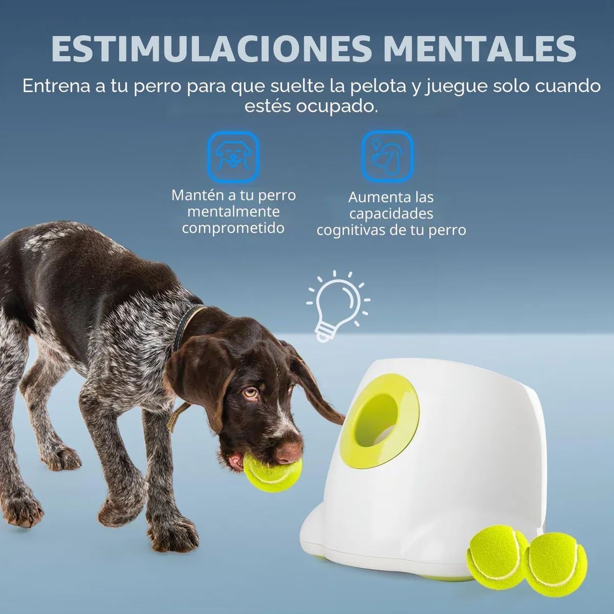 ALL FOR PAWS Lanzador automático de pelotas — imagen 2