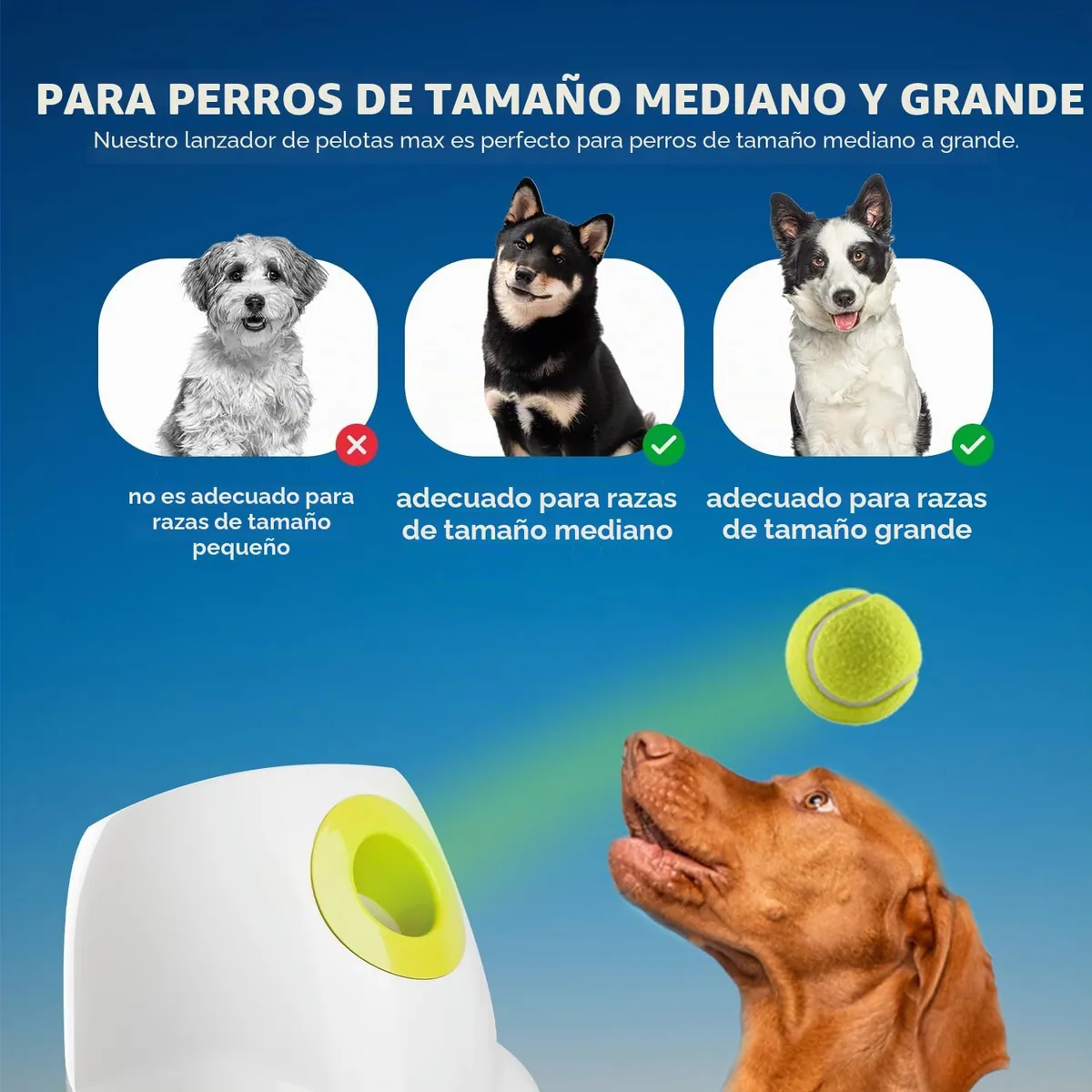 ALL FOR PAWS Lanzador automático de pelotas — imagen 3