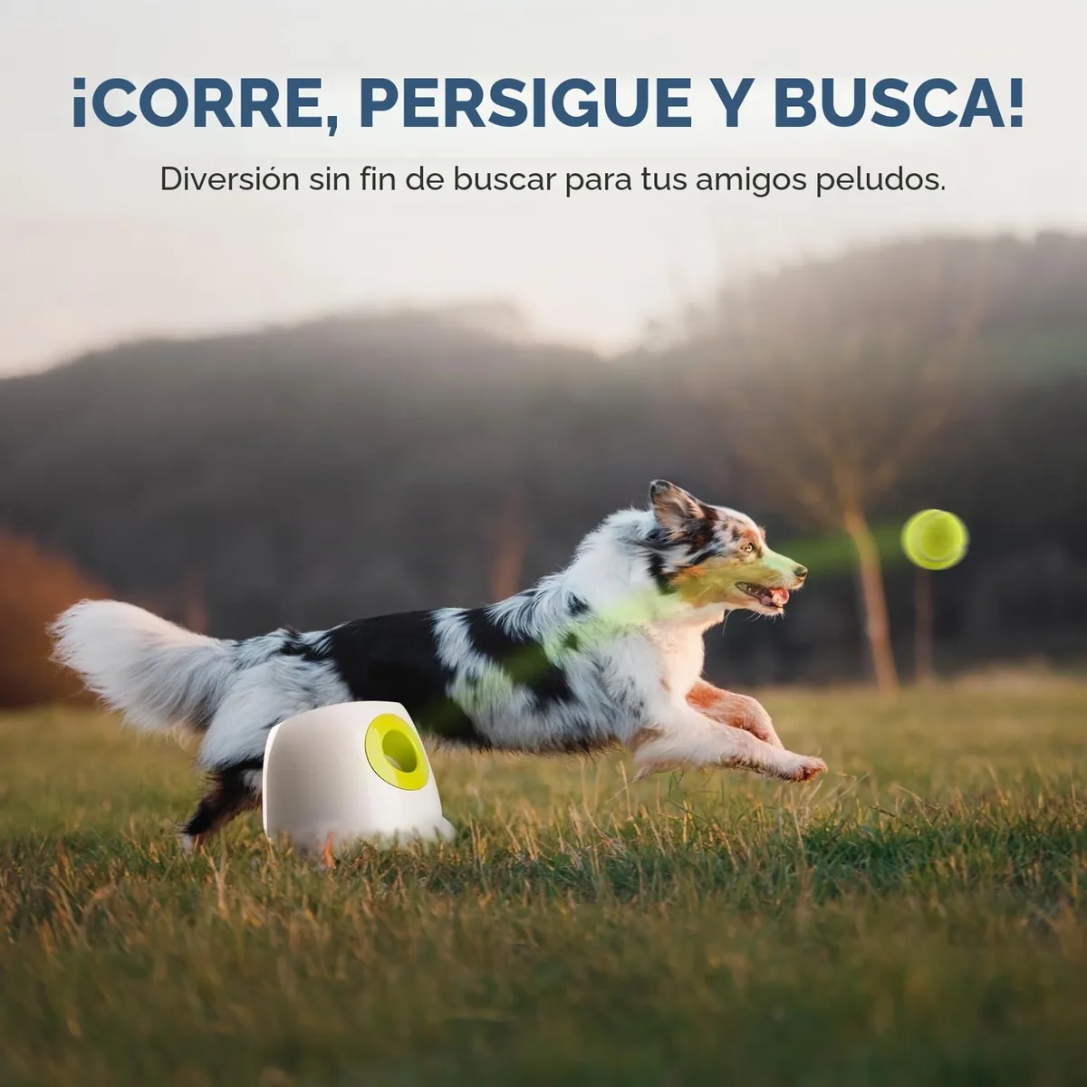 ALL FOR PAWS Lanzador automático de pelotas — imagen 5