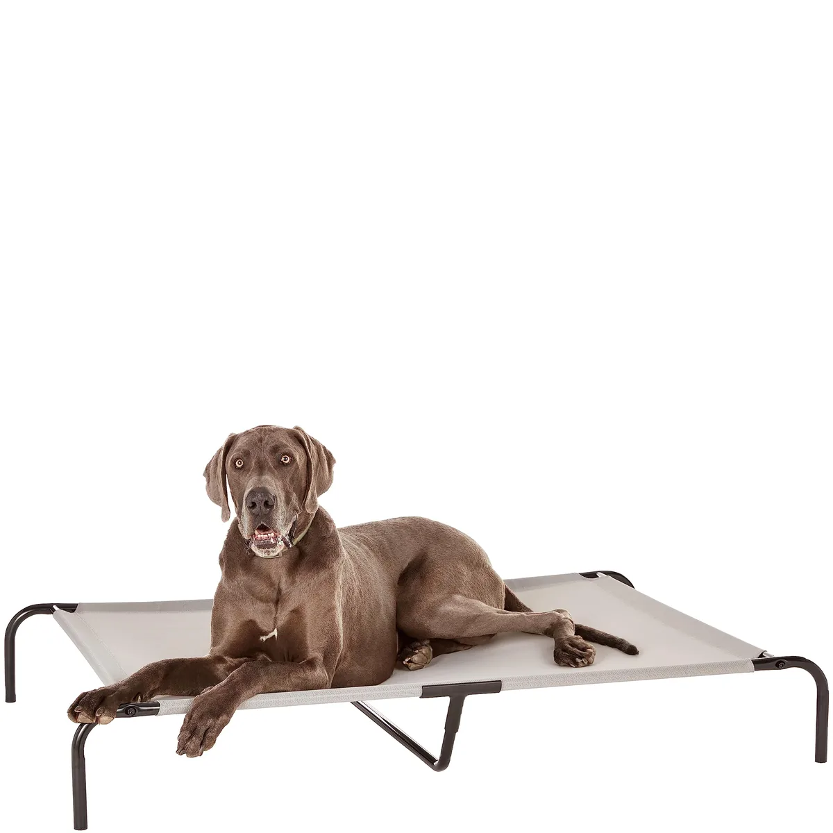 Amazon Basics Cama elevada de malla 130 cm — imagen 8