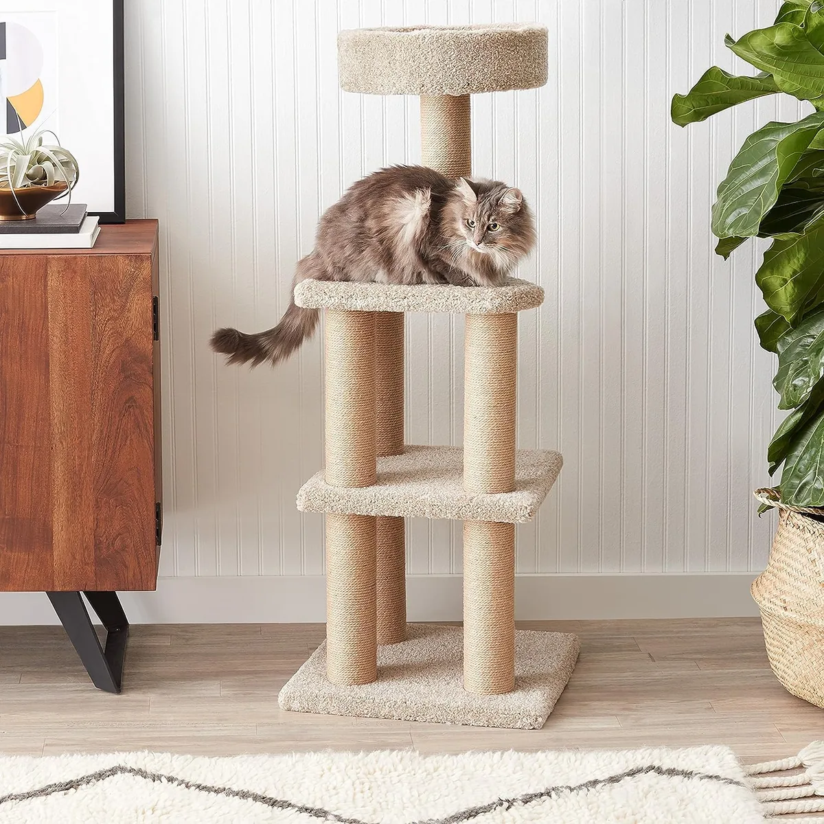 Amazon Basics Torre multinivel 117 cm — imagen 3