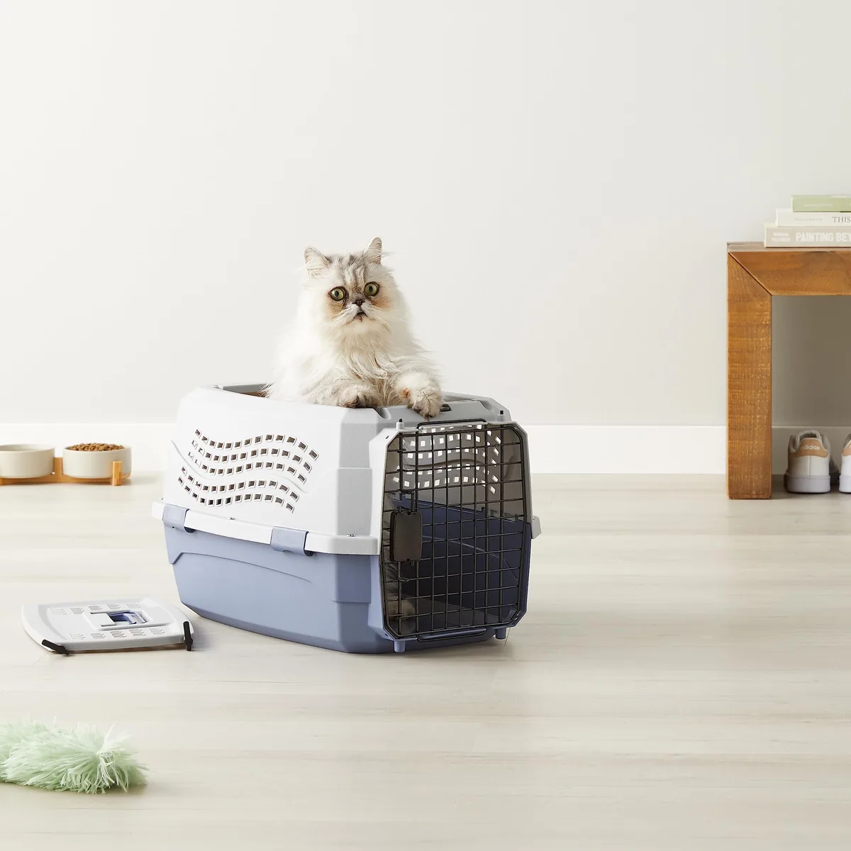 Amazon Basics Transportín rígido 2 puertas 58 cm — imagen 7
