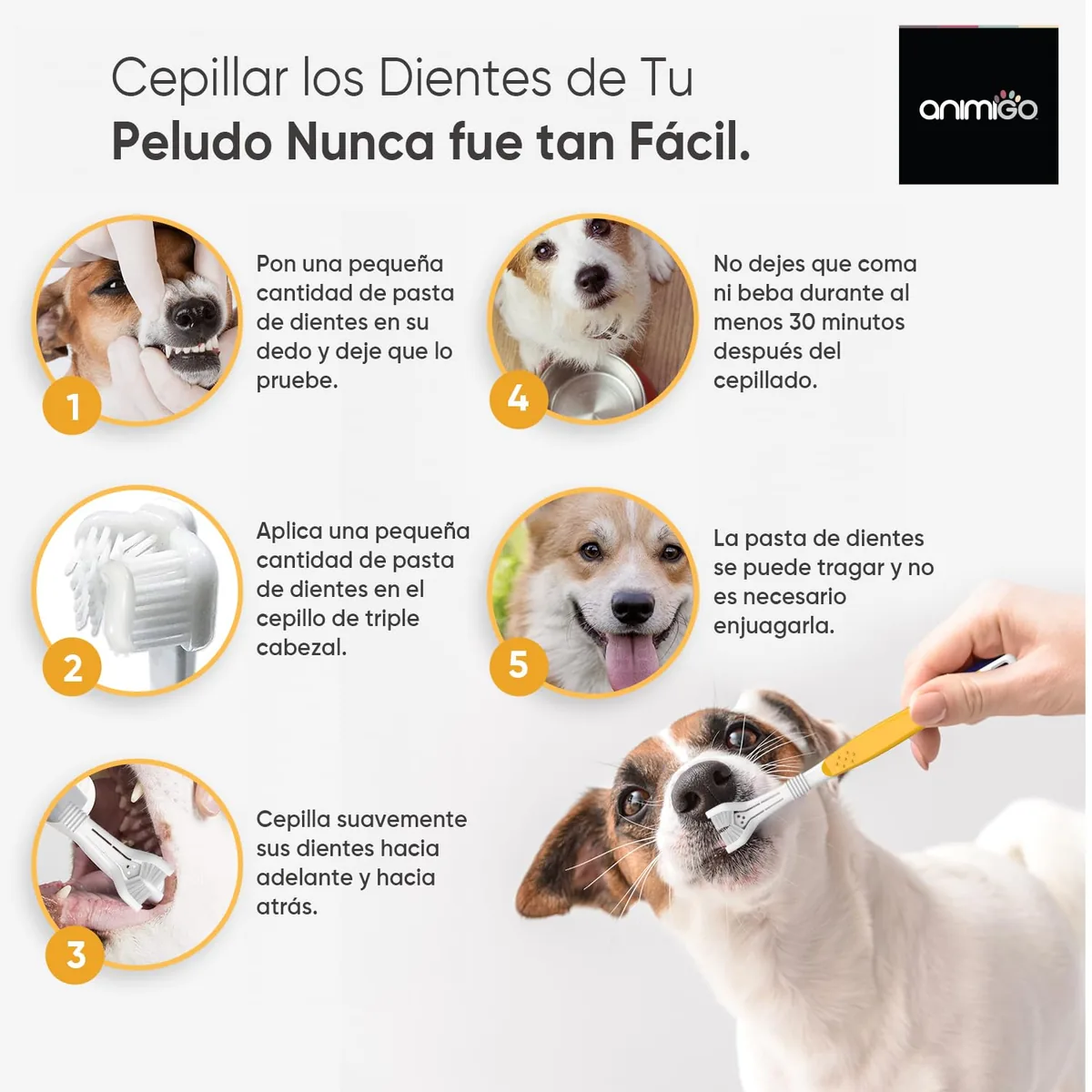 Animigo Kit de cepillo y pasta de dientes para perros — imagen 4