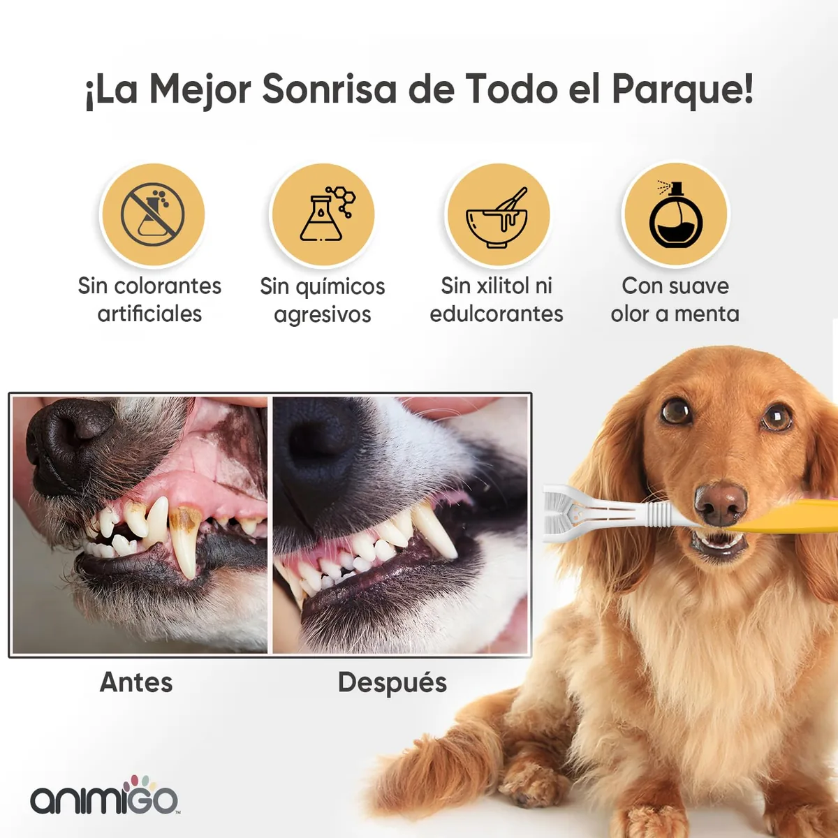 Animigo Kit de cepillo y pasta de dientes para perros — imagen 5