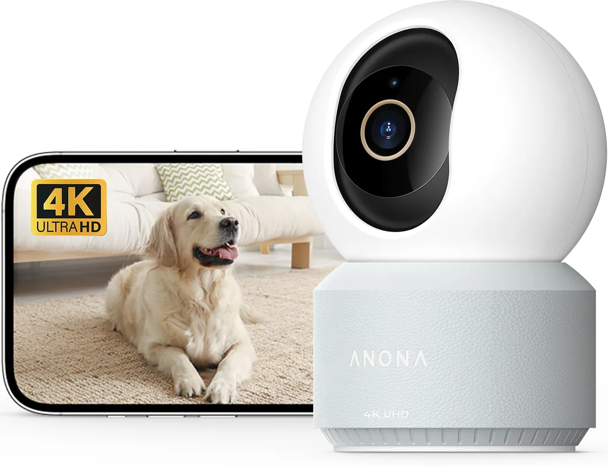 Anona Pano 4K Cámara interior 360