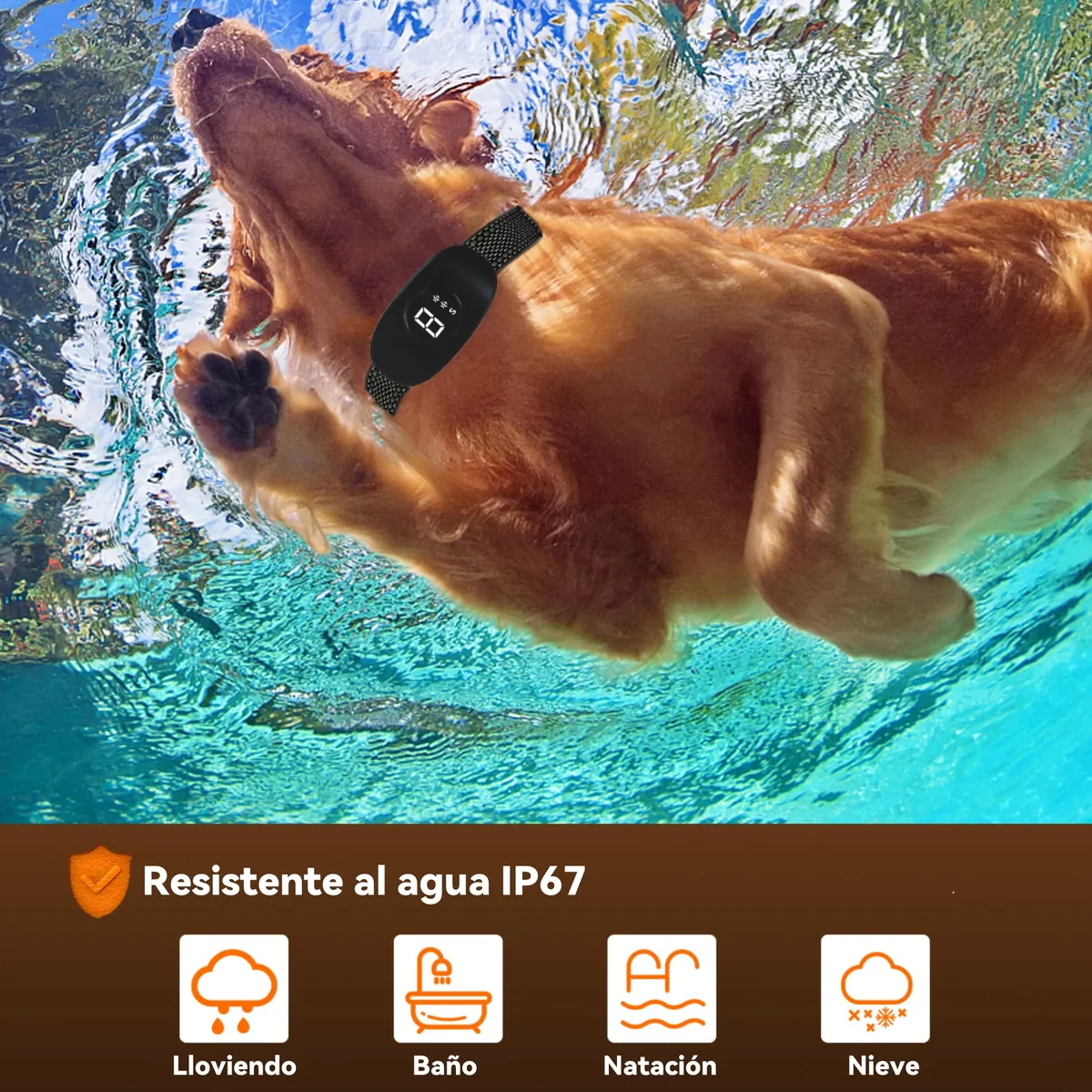 Collar antiladridos sin descargas (vibración y sonido) — imagen 7