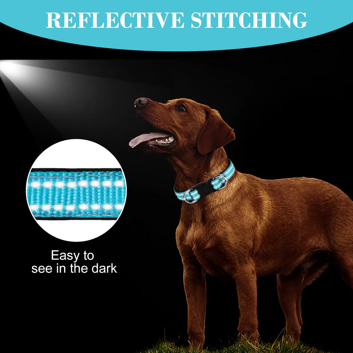 AUAUY Collar de nailon reflectante 360° con acolchado — imagen 2