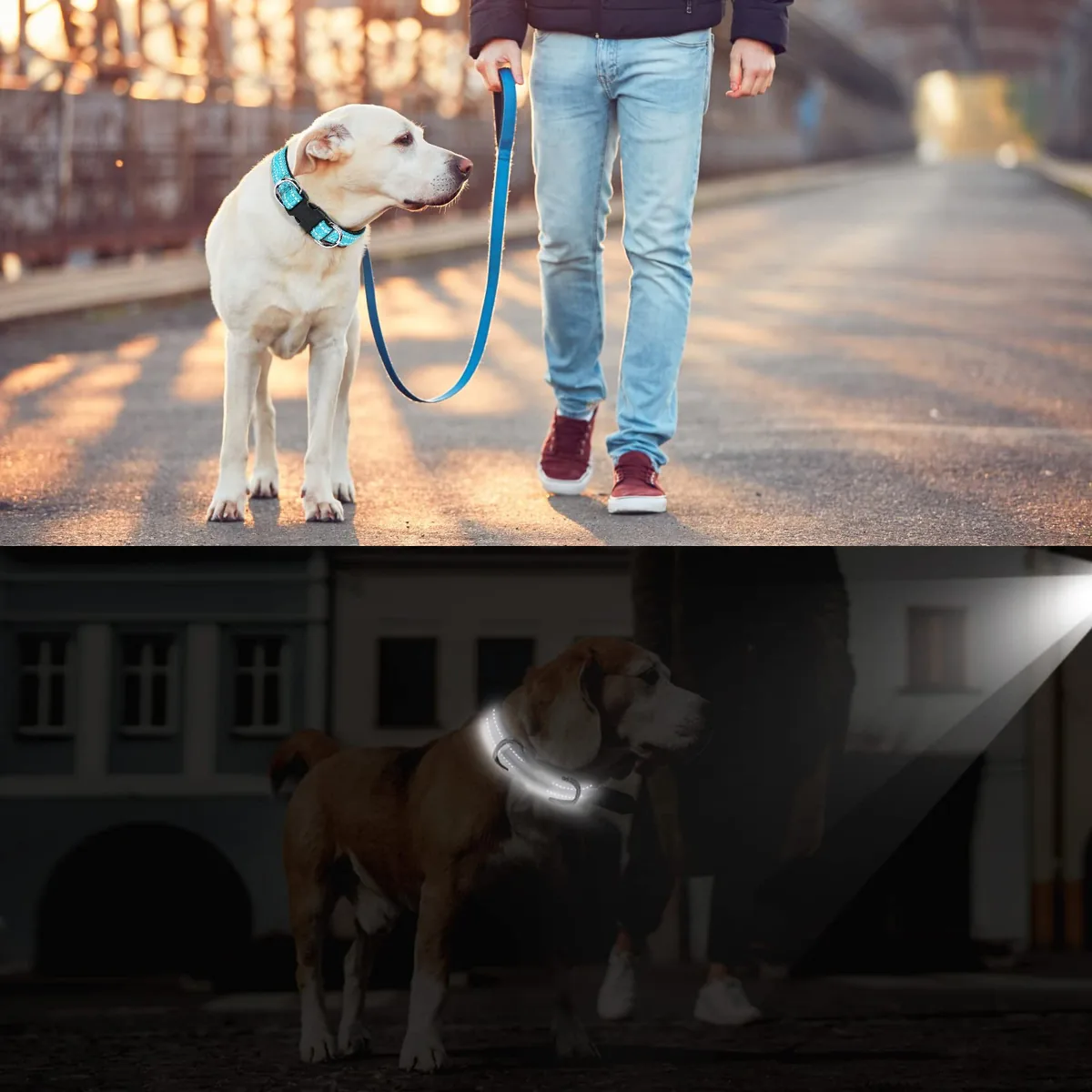AUAUY Collar de nailon reflectante 360° con acolchado — imagen 3