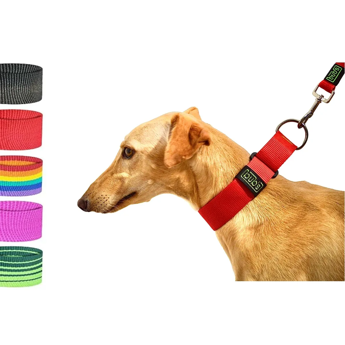 bub's Collar Martingale antiescape (galgos y podencos)