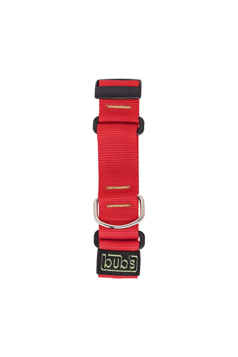 bub's Collar Martingale antiescape (galgos y podencos) — imagen 8