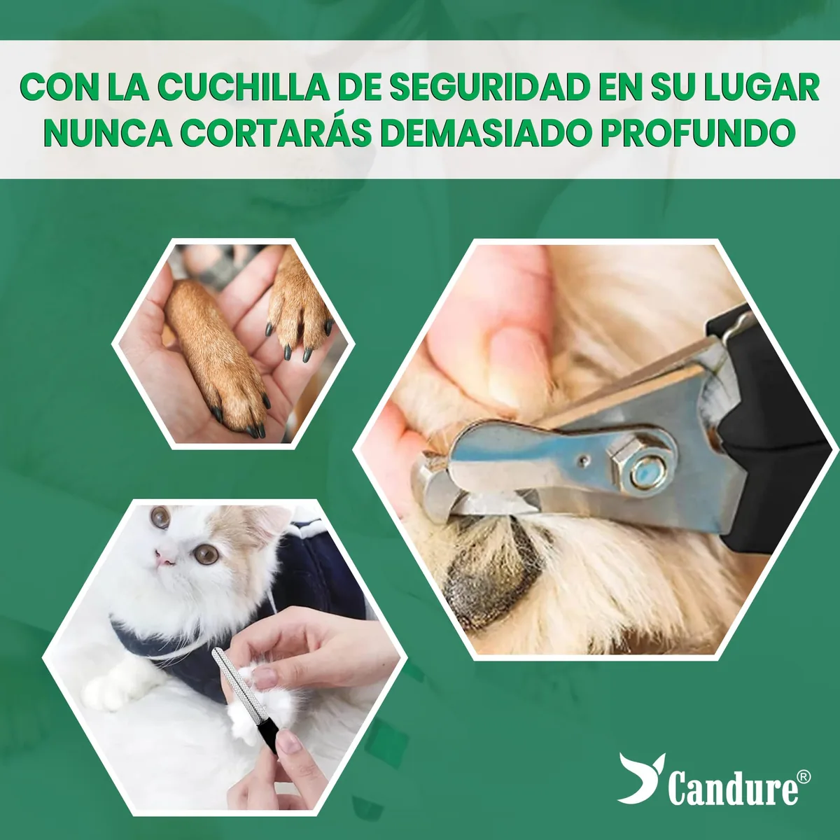 Candure Cortaúñas con protector de seguridad — imagen 3