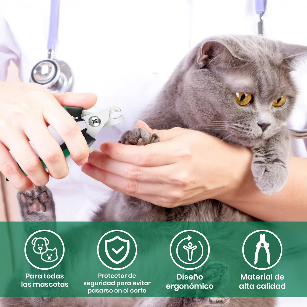 Candure Cortaúñas con protector de seguridad — imagen 5