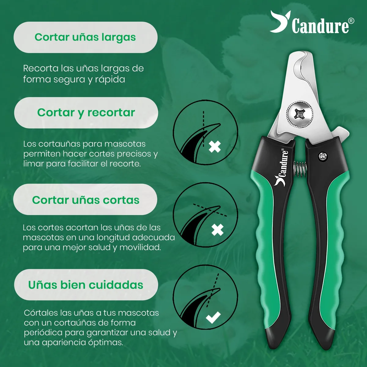 Candure Cortaúñas con protector de seguridad — imagen 6