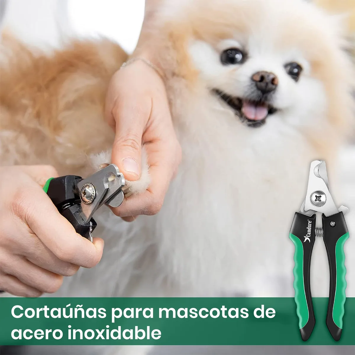 Candure Cortaúñas con protector de seguridad — imagen 8