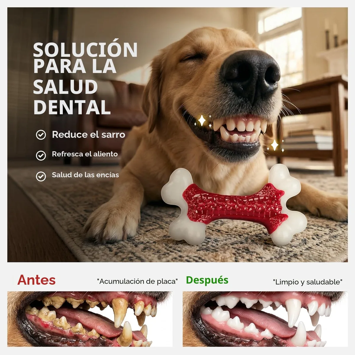 ChienBox Hueso de nailon resistente para masticadores fuertes — imagen 6