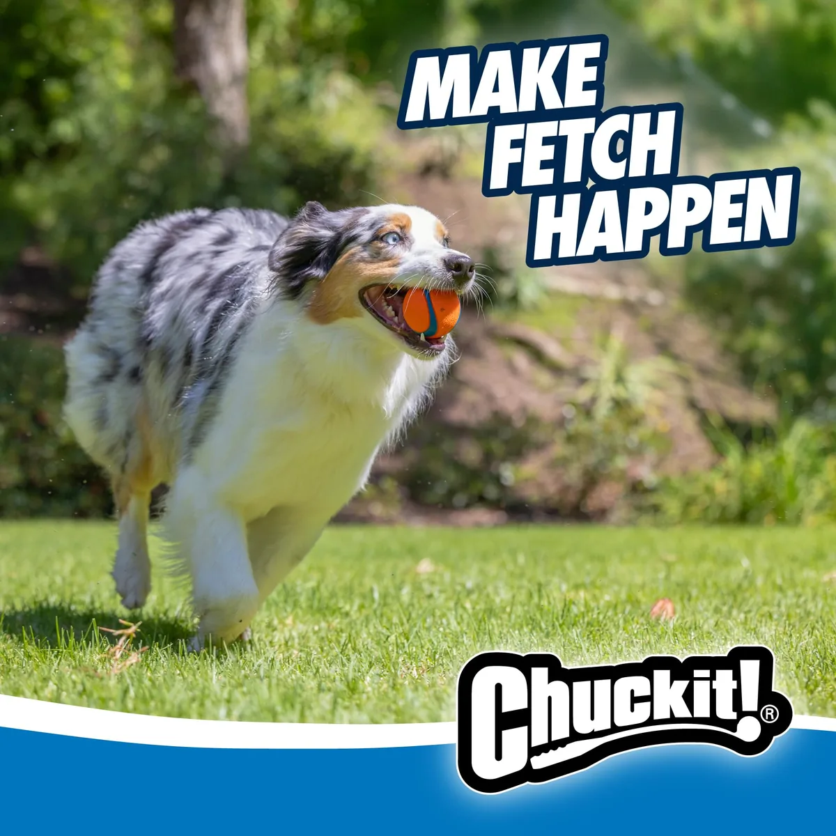 Chuckit! Ultra Ball (pack de 2) — imagen 3