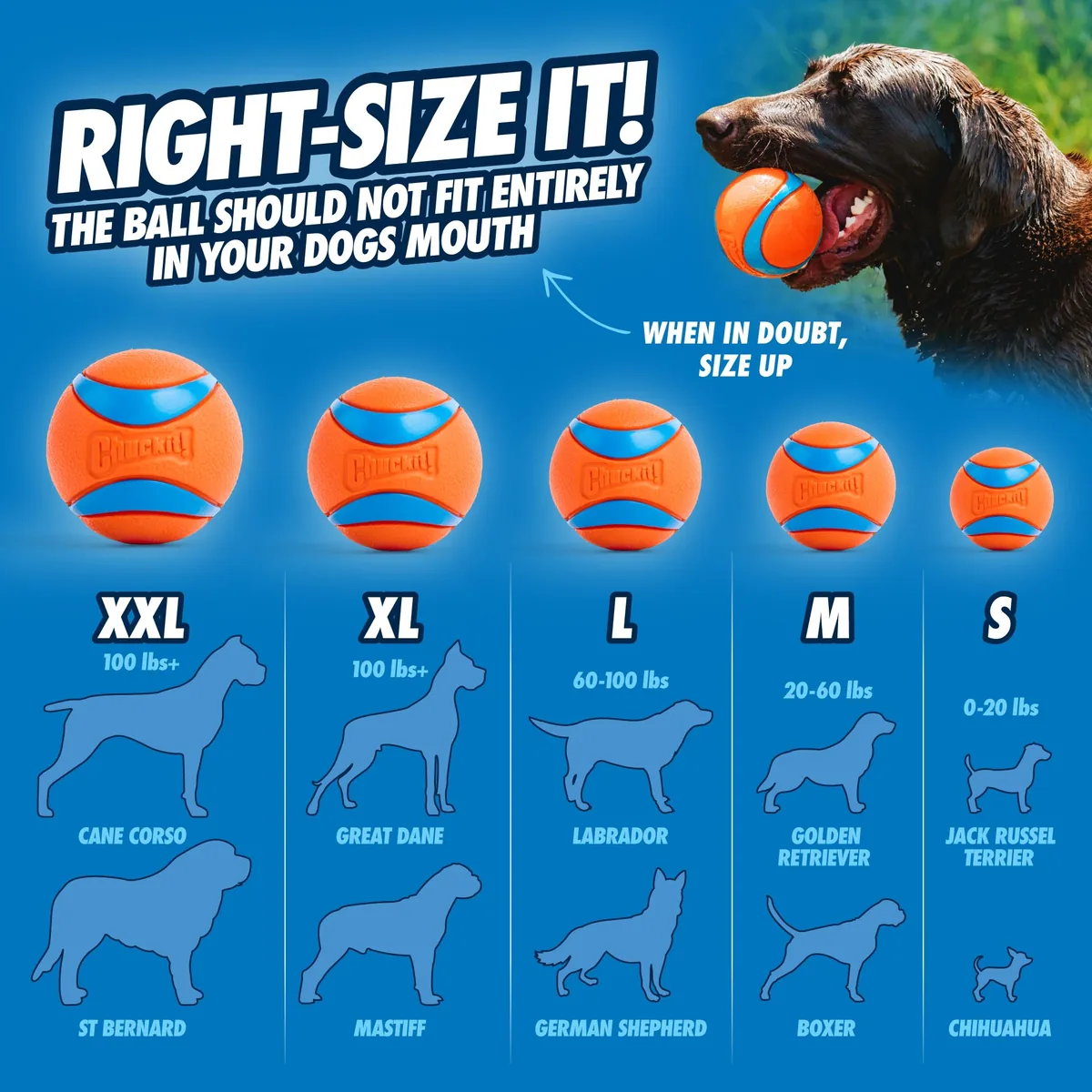 Chuckit! Ultra Ball (pack de 2) — imagen 5