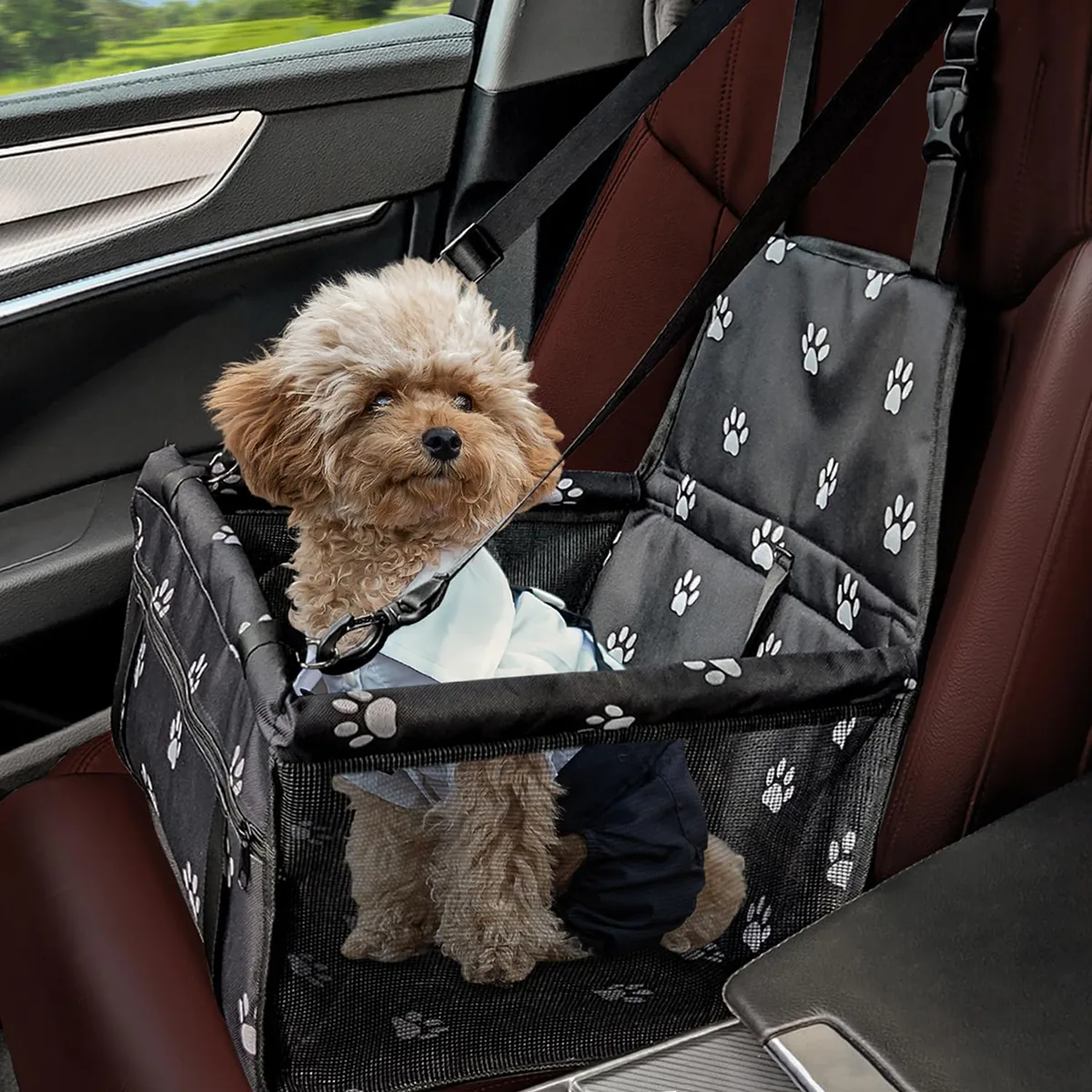 Flagest Asiento de coche elevado para perros pequeños