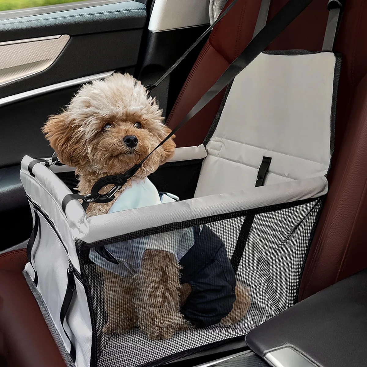 Flagest Asiento de coche elevado para perros pequeños — imagen 7