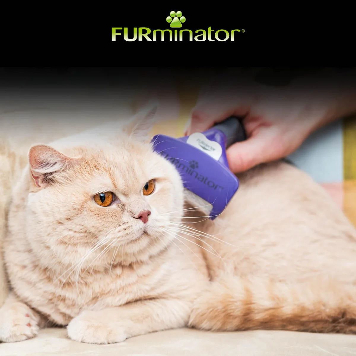 FURminator deShedding para gatos de pelo largo (M/L) — imagen 7
