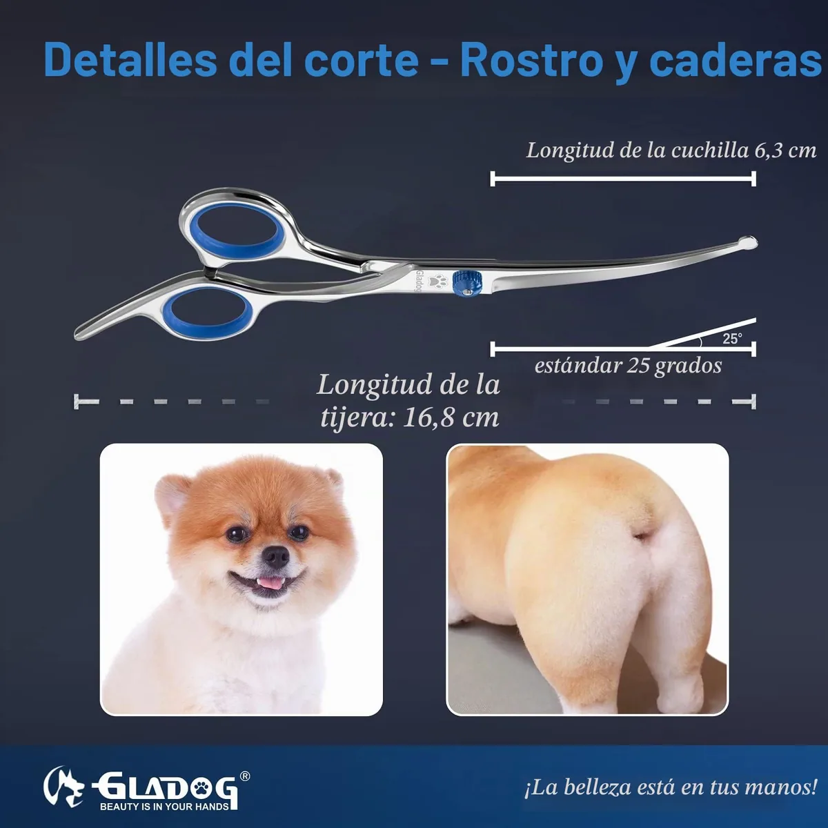 GLADOG Kit de tijeras de peluquería canina 6 en 1 — imagen 4
