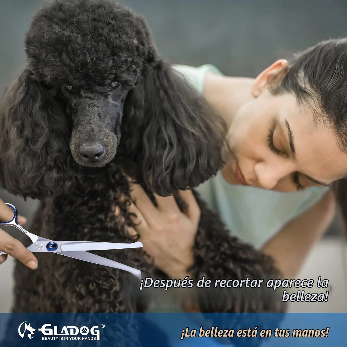 GLADOG Kit de tijeras de peluquería canina 6 en 1 — imagen 6