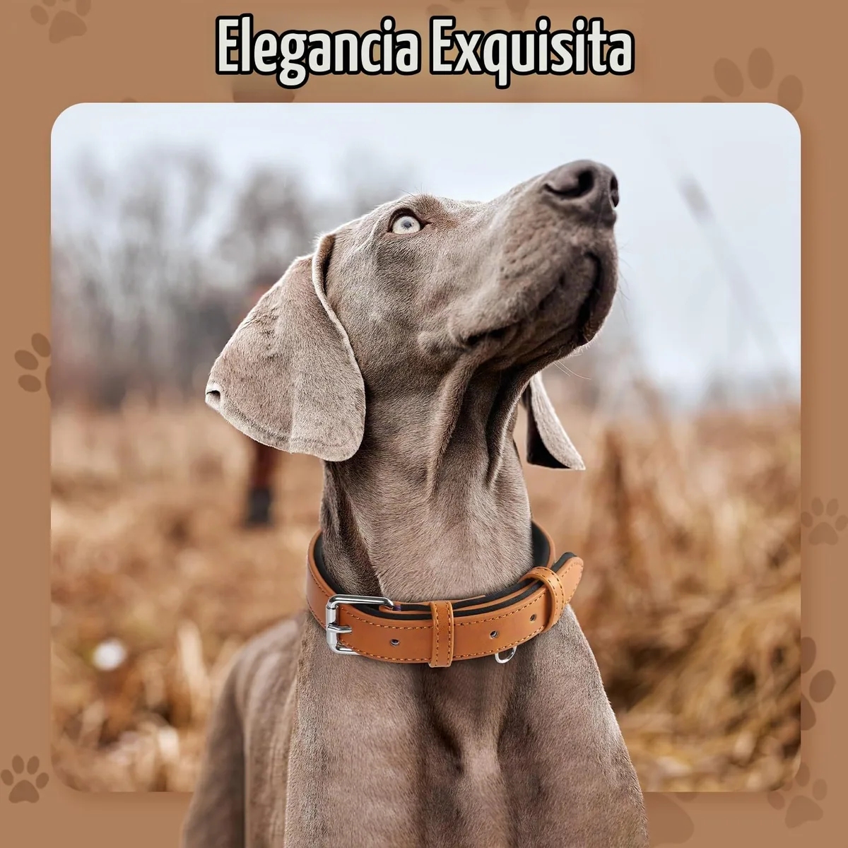 Grand Line Collar de cuero ancho con acolchado interior — imagen 2