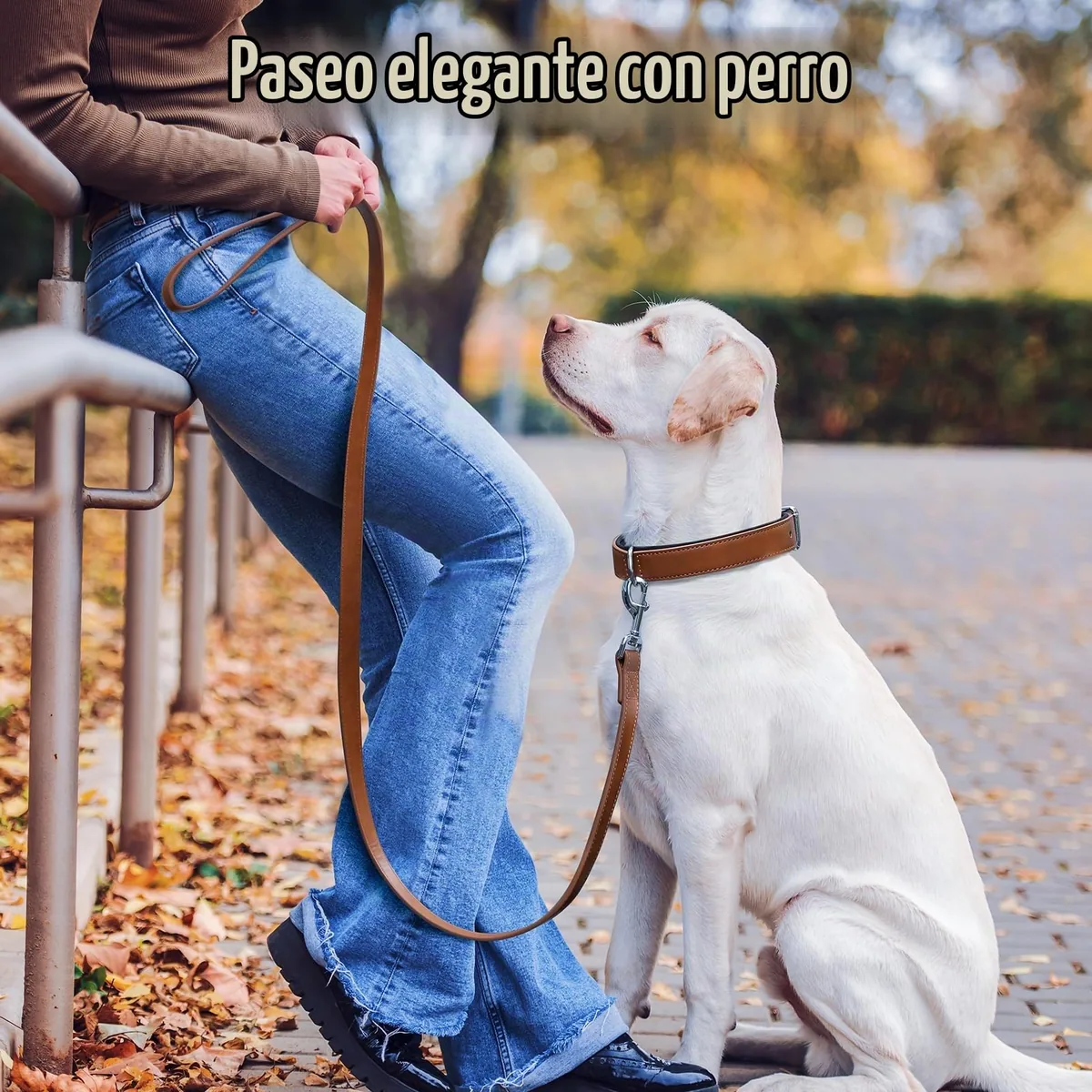 Grand Line Collar de cuero ancho con acolchado interior — imagen 6