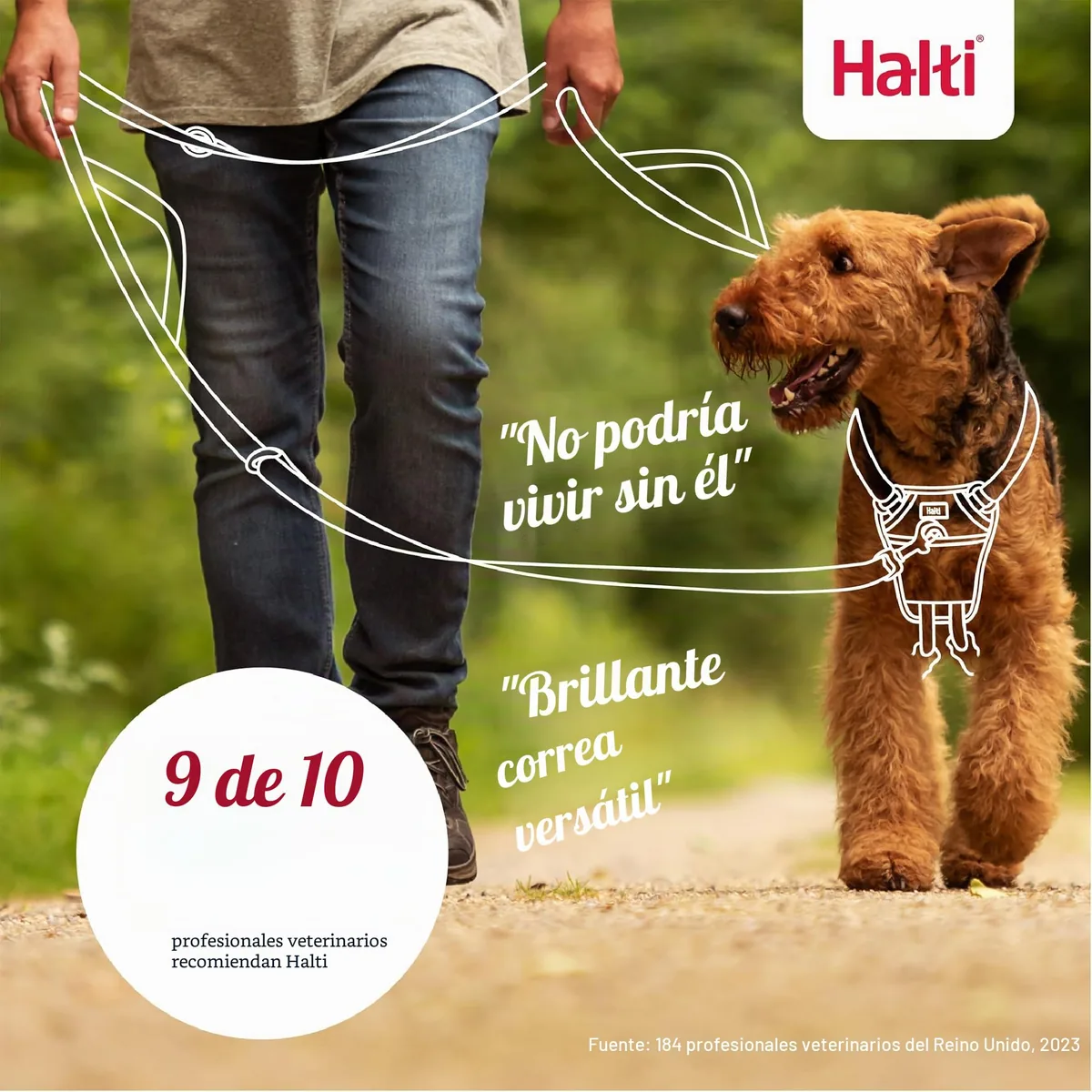 Halti Correa de control de 2 m con doble enganche (7 usos) — imagen 6