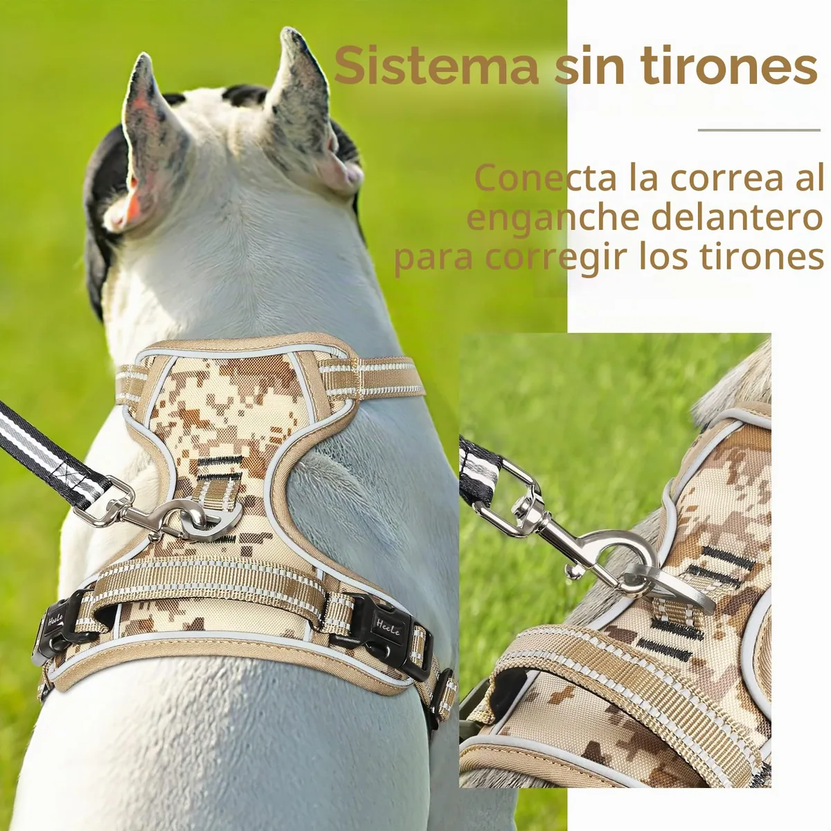 HEELE Arnés tipo chaleco acolchado con asa (adiestramiento y correr) — imagen 4