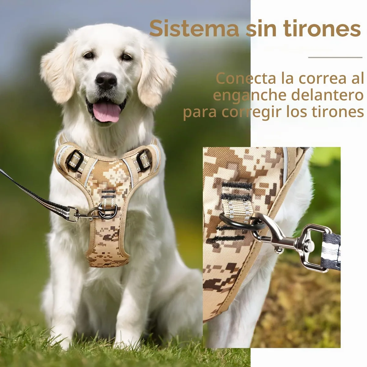 HEELE Arnés tipo chaleco acolchado con asa (adiestramiento y correr) — imagen 5