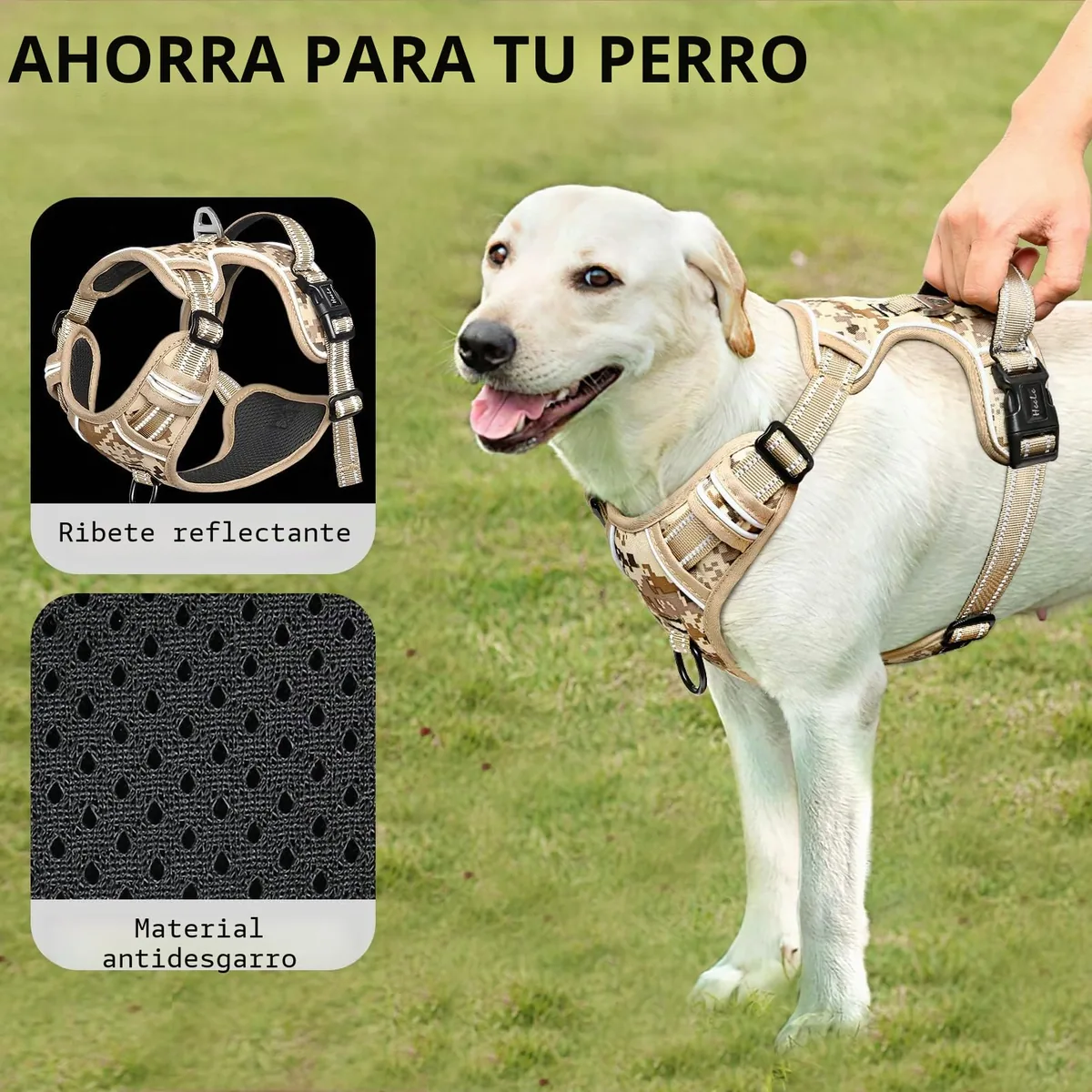 HEELE Arnés tipo chaleco acolchado con asa (adiestramiento y correr) — imagen 6