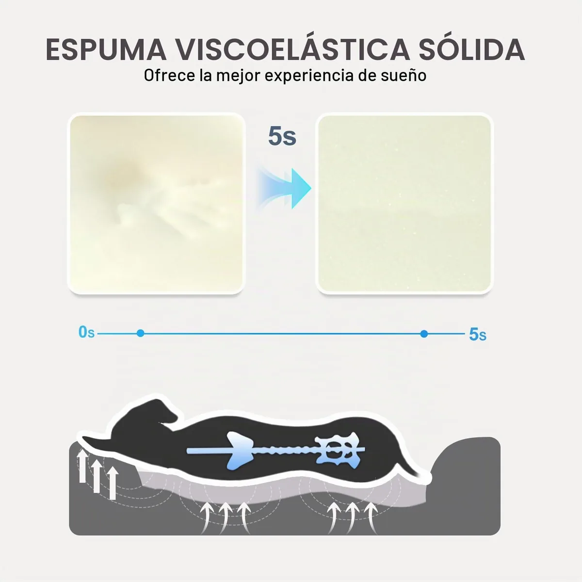 JOYELF Cama ortopédica viscoelástica (Large) — imagen 4