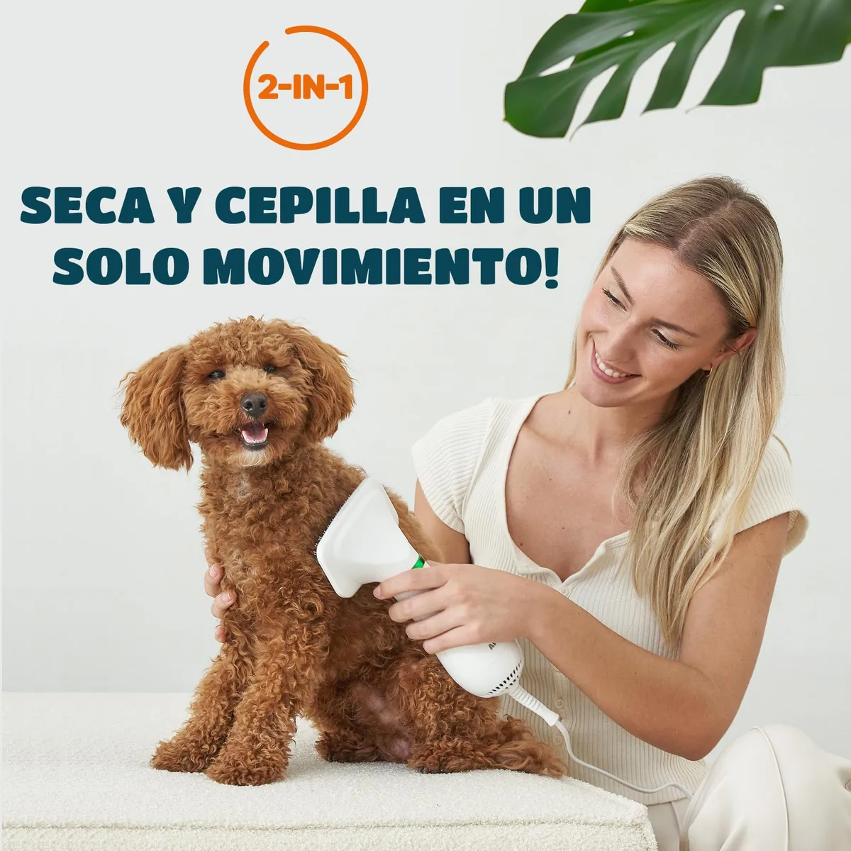 KUUBIA Secador 2 en 1 con cepillo para mascotas pequeñas — imagen 2
