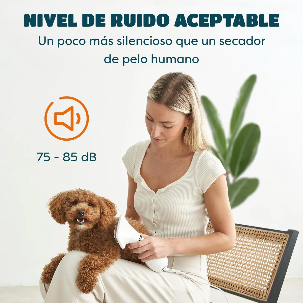 KUUBIA Secador 2 en 1 con cepillo para mascotas pequeñas — imagen 4