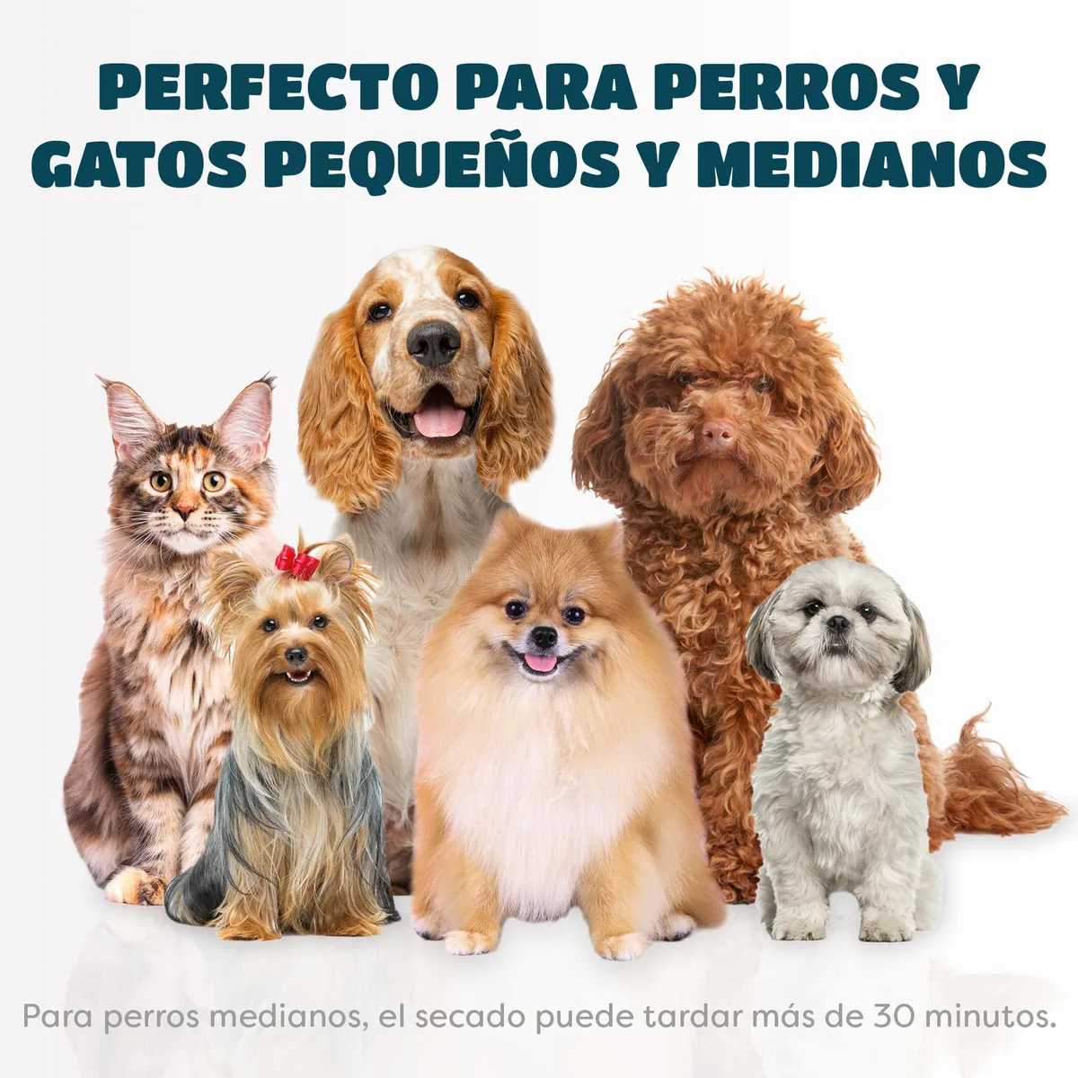 KUUBIA Secador 2 en 1 con cepillo para mascotas pequeñas — imagen 8