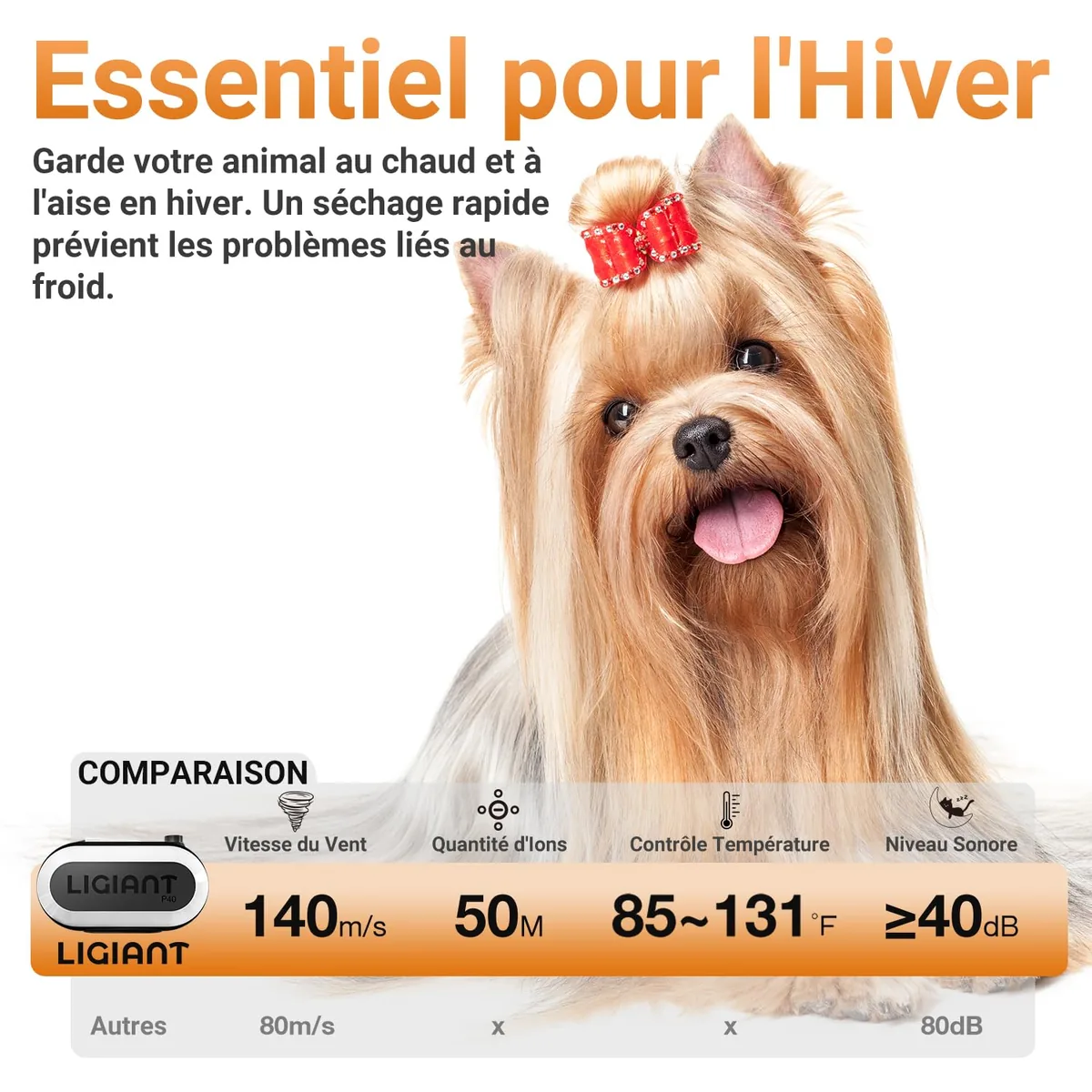LIGIANT P40 Secador profesional con modo gato (40 dB) — imagen 3