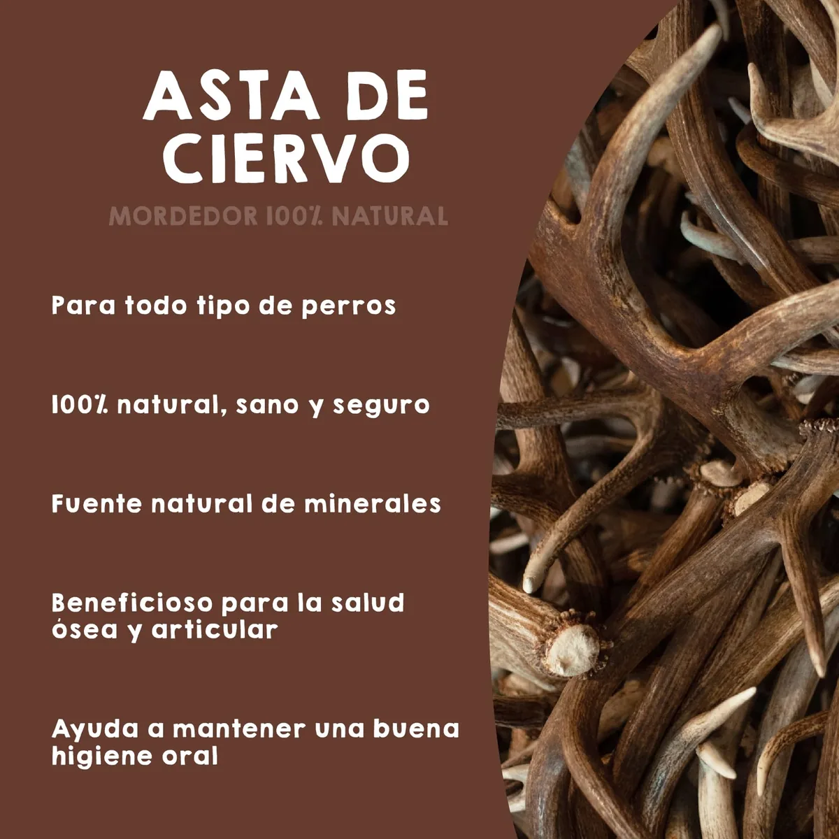 MAIKAI Asta de ciervo natural para morder (pack de 2, talla L) — imagen 5