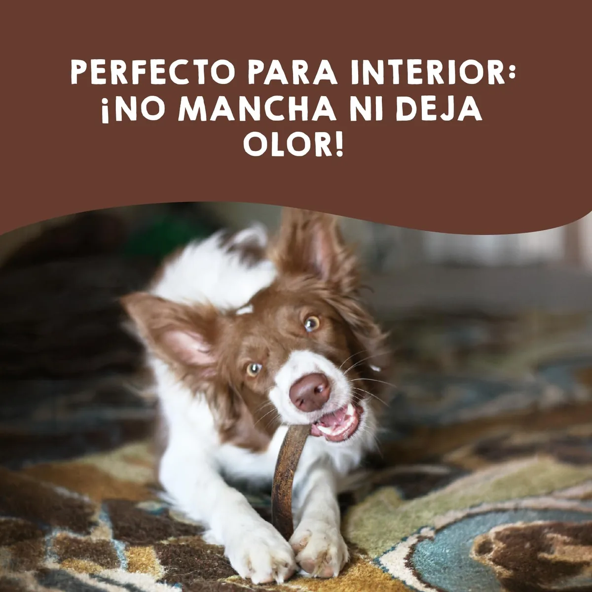 MAIKAI Asta de ciervo natural para morder (pack de 2, talla L) — imagen 6