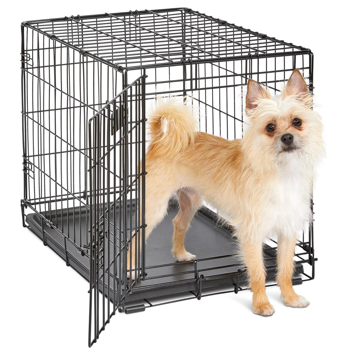 MidWest iCrate Jaula plegable con divisor (perros pequeños)