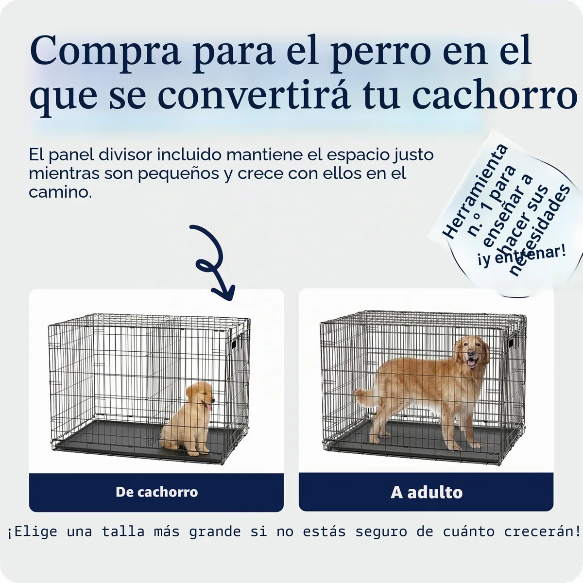 MidWest iCrate Jaula plegable con divisor (perros pequeños) — imagen 3