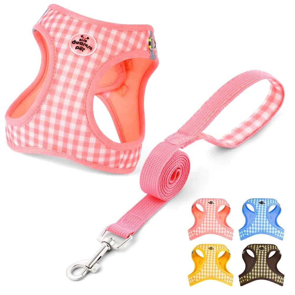 OFFCUP Conjunto arnés antitirones + correa (perro pequeño y gato)