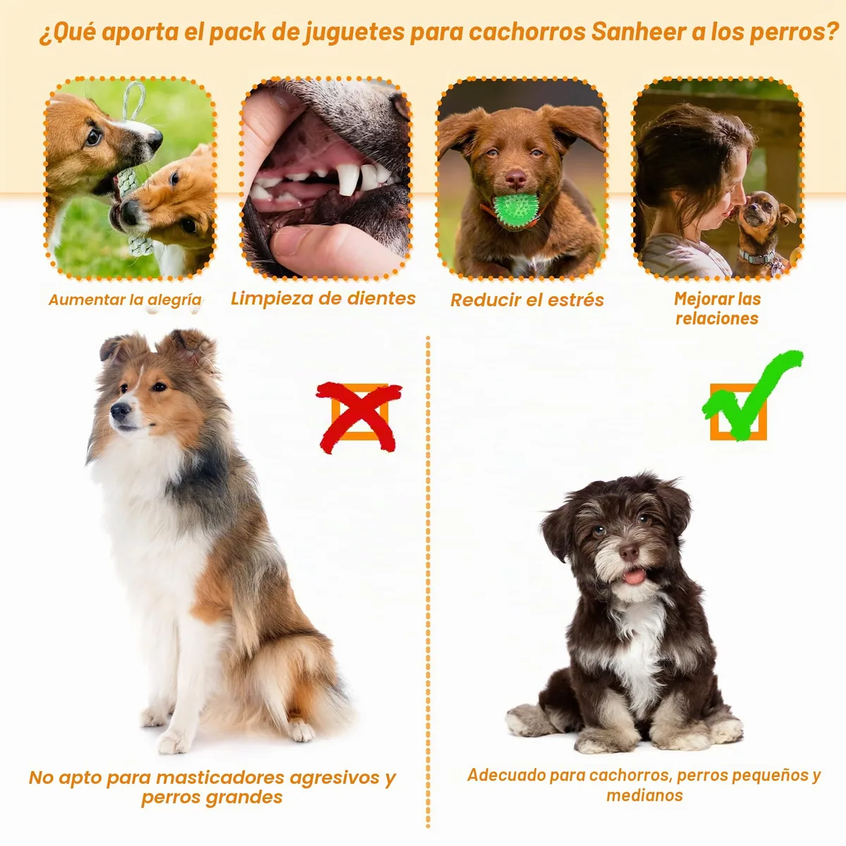 Set de 24 juguetes para cachorros con caja — imagen 3