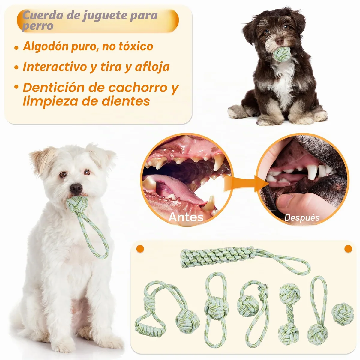 Set de 24 juguetes para cachorros con caja — imagen 4