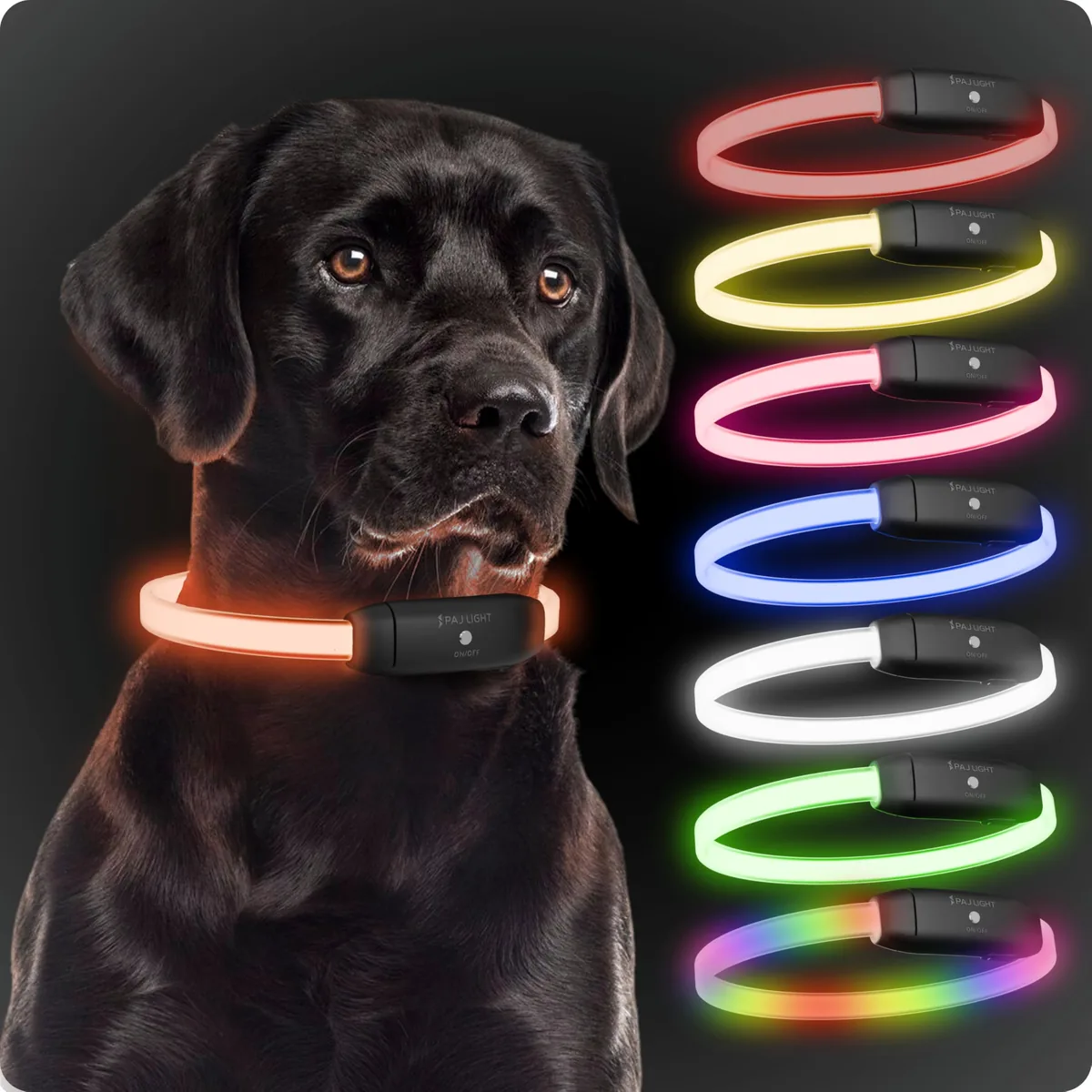 PAJ Collar luminoso LED recargable, 7 colores