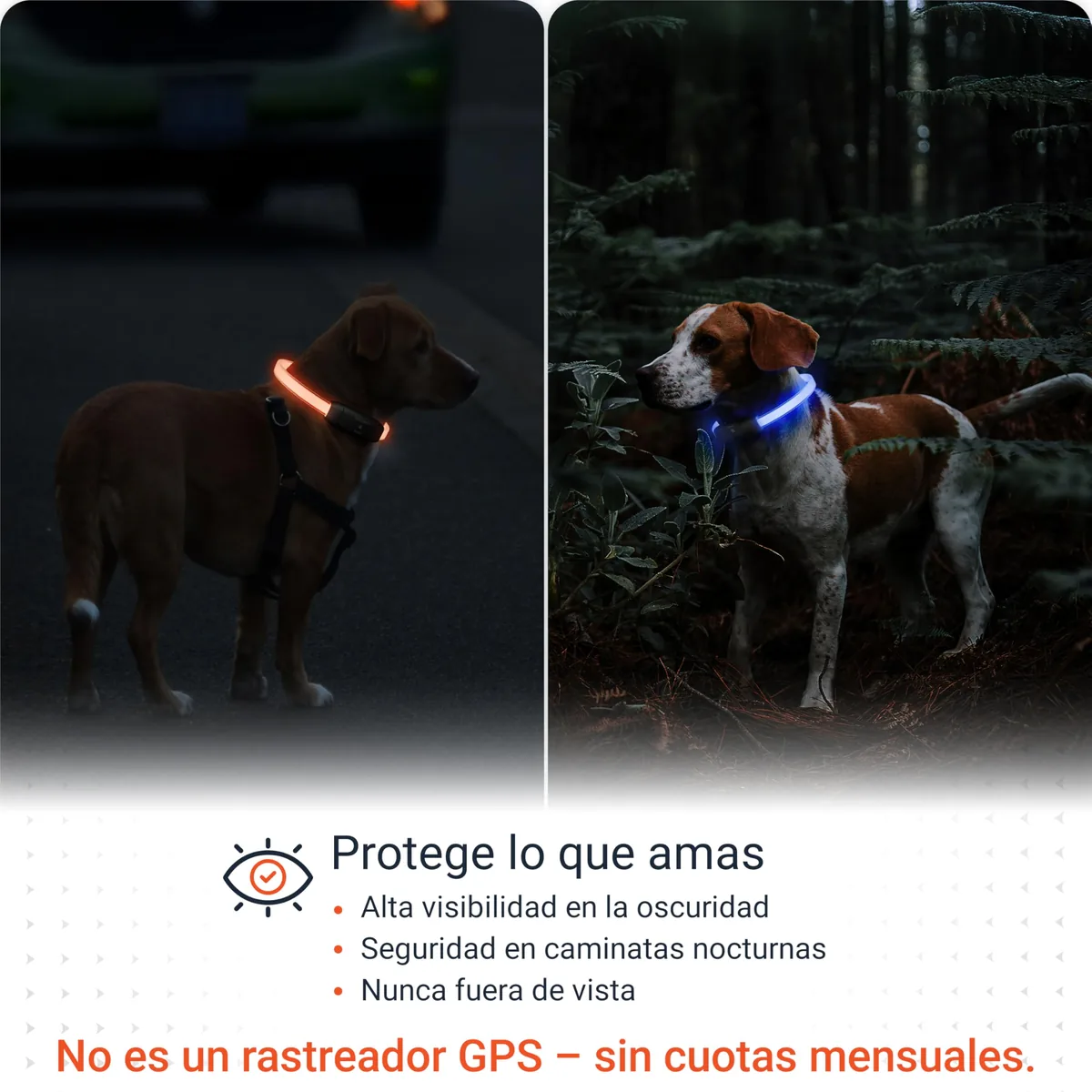 PAJ Collar luminoso LED recargable, 7 colores — imagen 2