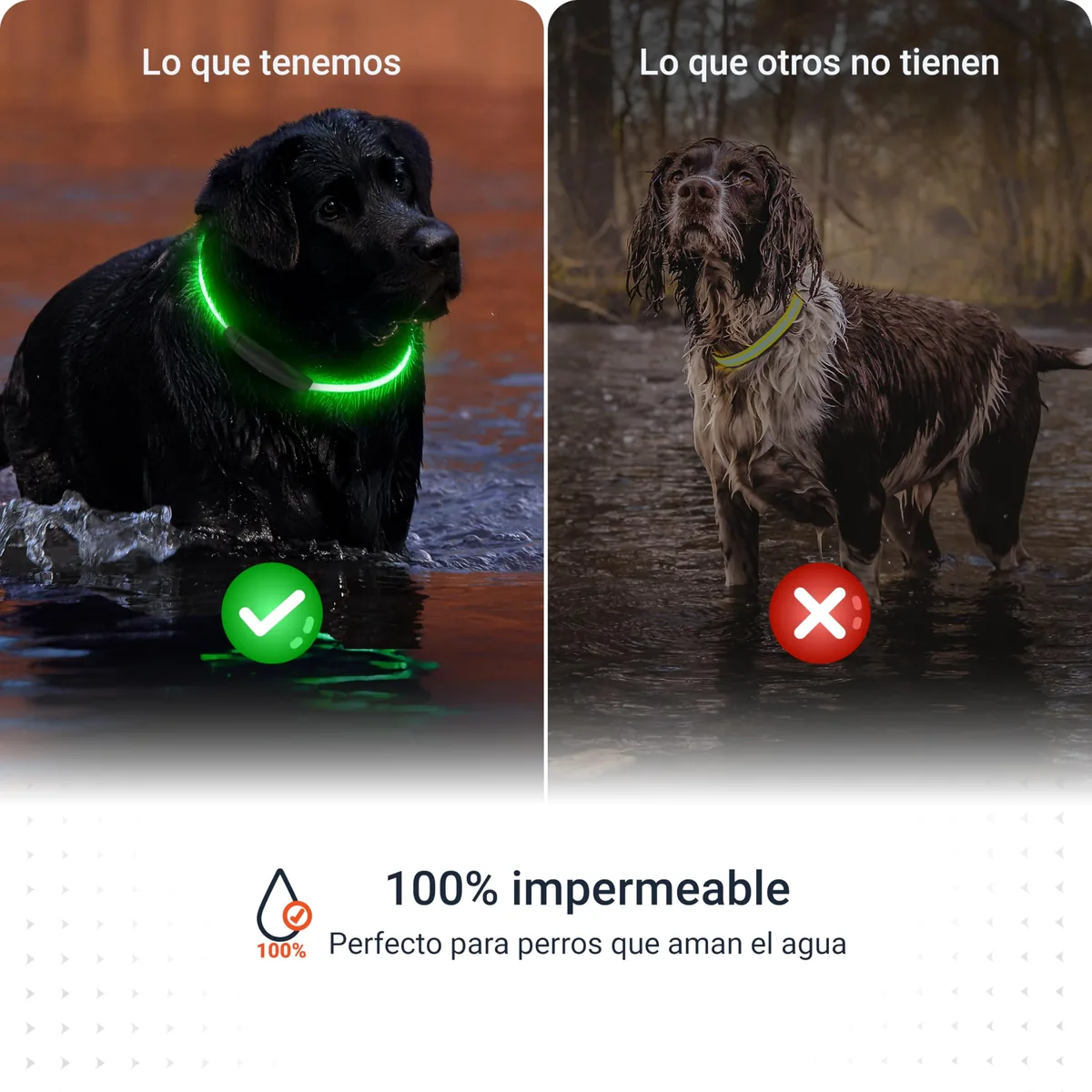 PAJ Collar luminoso LED recargable, 7 colores — imagen 8