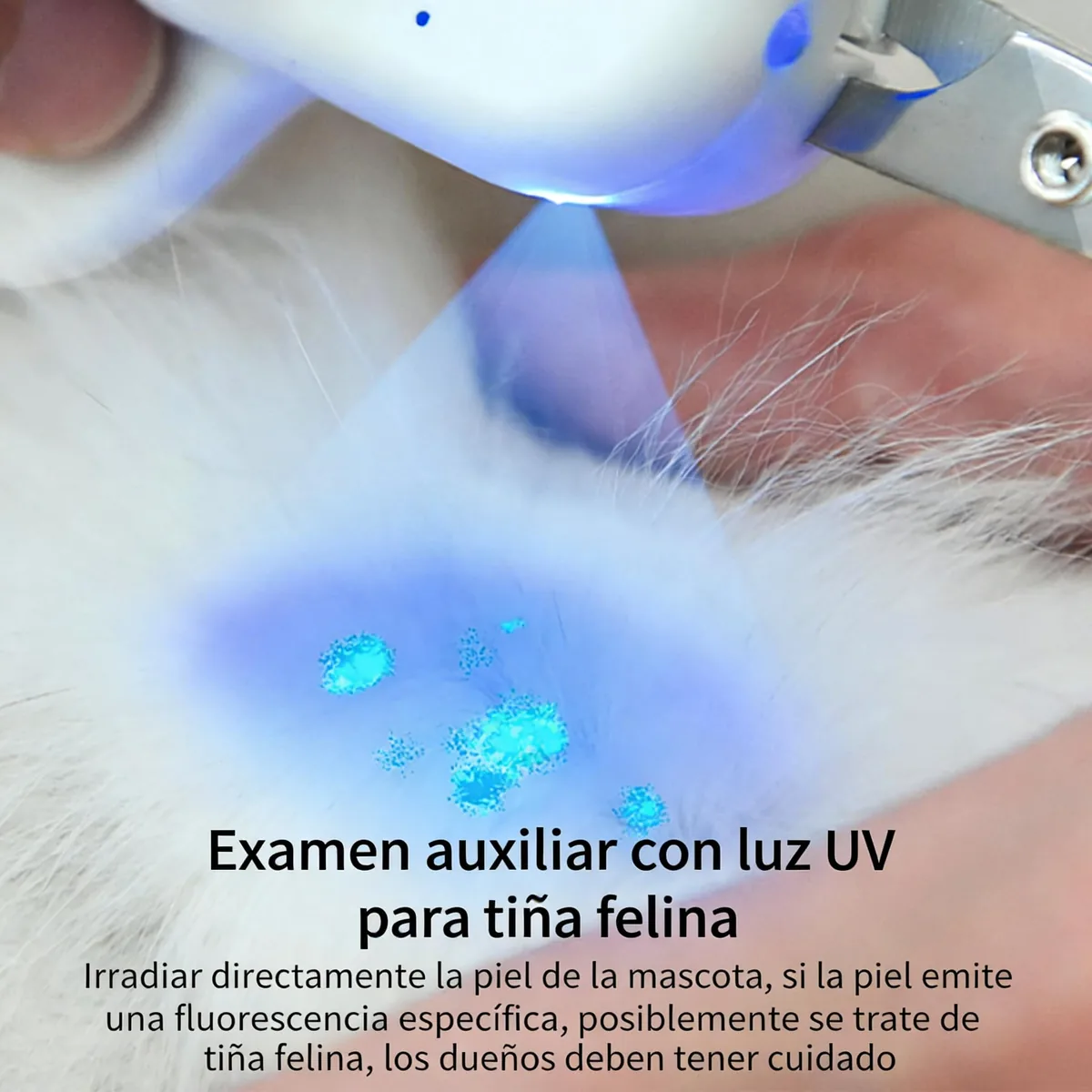 PAKEWAY Cortaúñas con luz LED y luz UV, recargable — imagen 3