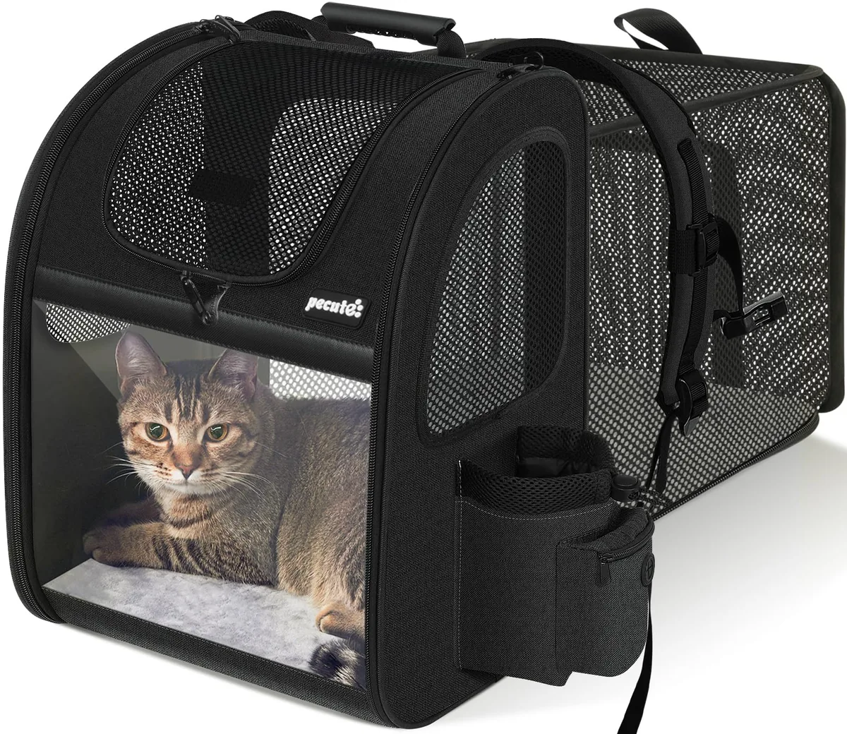 Pecute Mochila transportín expandible para gatos hasta 6 kg